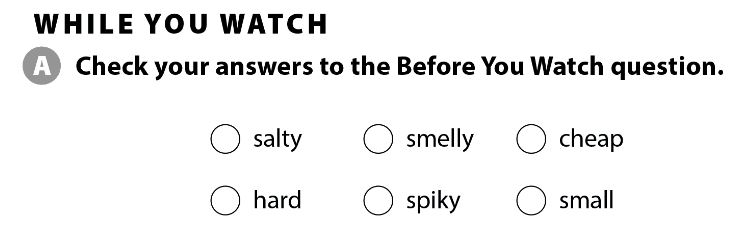 Tiếng Anh 7 Cánh Diều Unit 7 Video