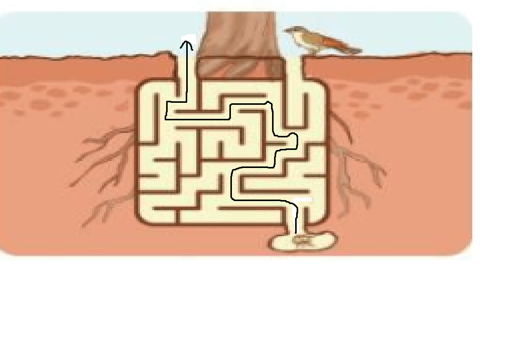 Toán lớp 3 Bài 57: Chia số có bốn chữ số cho số có một chữ số