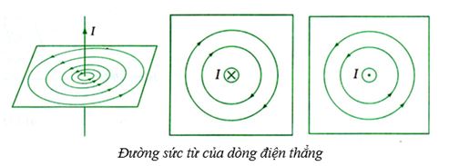 Vật lý 11 Bài 19