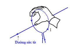 Vật lý 11 Bài 21