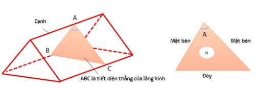Vật lý 11 Bài 28