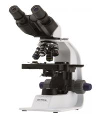 Vật lý 11 Bài 29