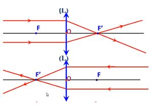 Vật lý 11 Bài 29