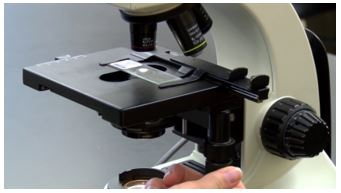 Vật lý 11 Bài 33