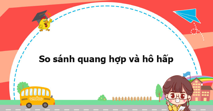 So sánh quang hợp và hô hấp - Ôn tập môn Sinh học 10 - VnDoc.com