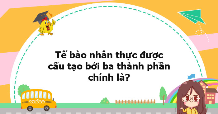 Tế Bào Nhân Thực được Cấu Tạo Bởi Ba Thành Phần Chính Là? - Ôn Tập Môn 