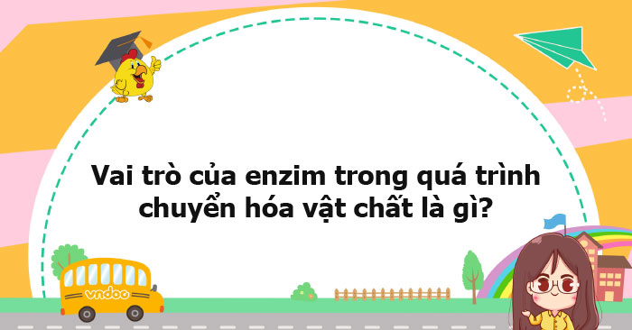 Vai trò của enzim trong quá trình chuyển hóa vật chất là gì? - Ôn tập ...