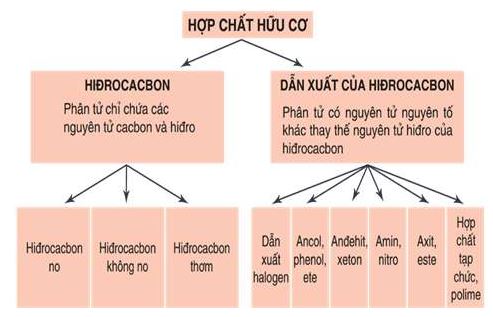 Hóa học 11 Bài 20