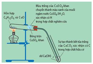 Hóa học 11 Bài 28