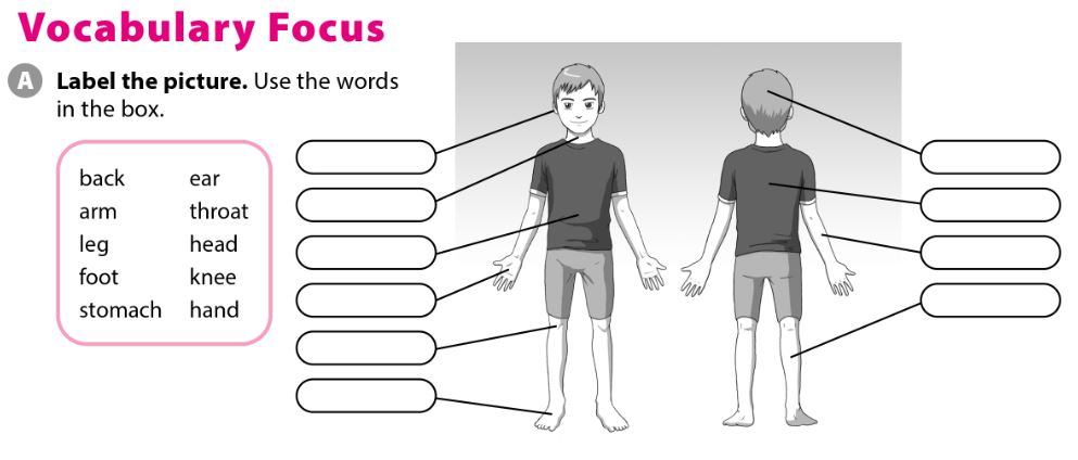 SBT Tiếng Anh 7 Cánh Diều Unit 8 Vocabulary Focus