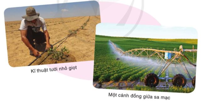 Trắc nghiệm bài Phép màu trên sa mạc