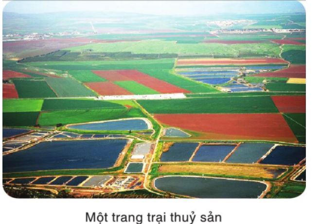 Trắc nghiệm bài Phép màu trên sa mạc