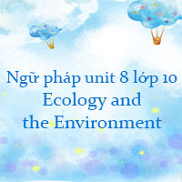Ngữ pháp unit 8 lớp 10 Ecology and the Environment