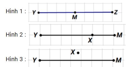 Điểm M là trung điểm của đoạn thẳng YZ