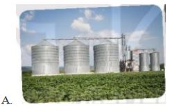 Đề thi giữa học kì 2 môn Công nghệ 10 Kết nối tri thức năm học 2022 - 2023