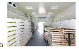 Đề thi giữa học kì 2 môn Công nghệ 10 Kết nối tri thức năm học 2022 - 2023