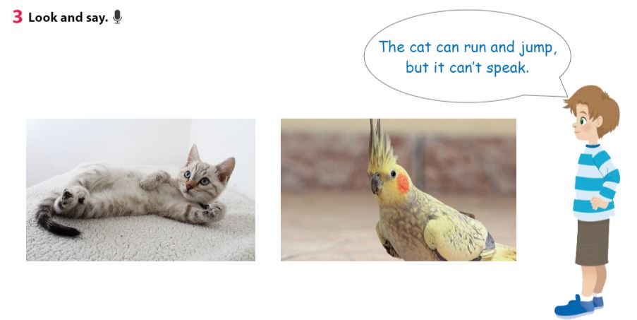 Tiếng Anh 3 Wonderful World Review 4 Part 1