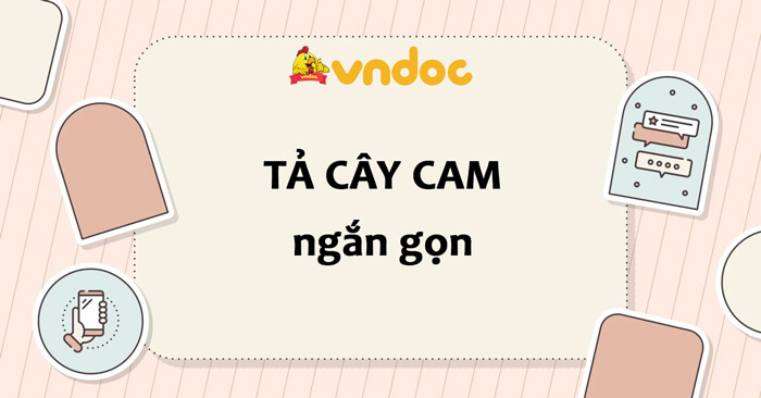 Văn Tả Cây Cam Lớp 4 Ngắn Gọn - Hướng Dẫn Viết Văn Sáng Tạo và Đầy Ý Nghĩa