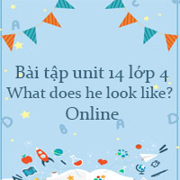 Bài tập unit 14 lớp 4 What does he look like? Online