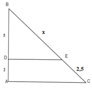 Trắc nghiệm Định lý Ta-lét trong tam giác có đáp án – Toán lớp 8 (ảnh 29)
