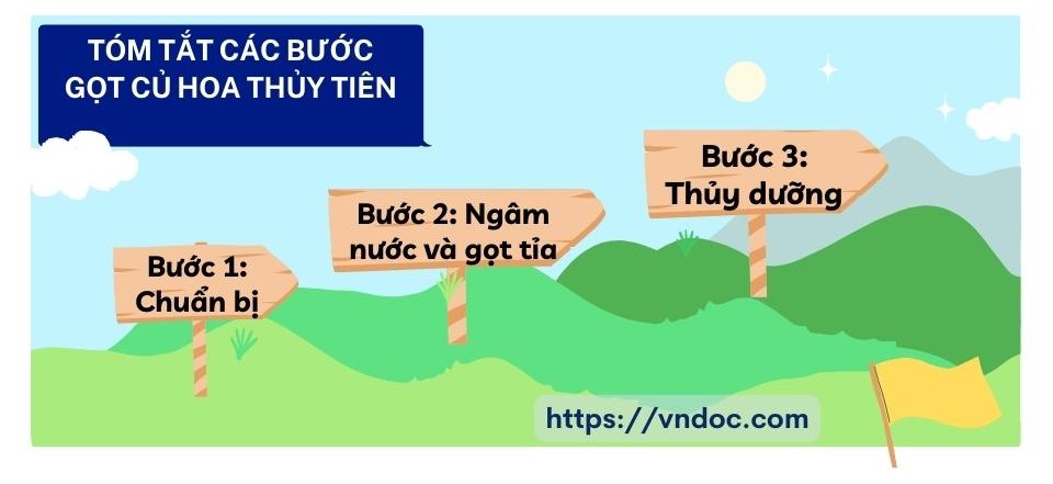 Vẽ sơ đồ tóm tắt các bước gọt củ hoa thủy tiên
