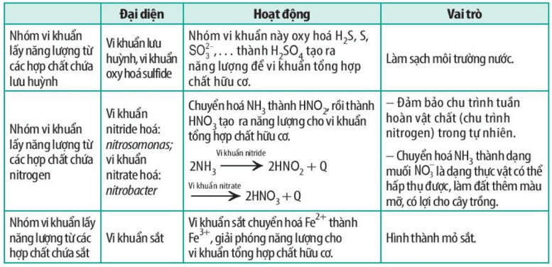 Lý thuyết sinh 10