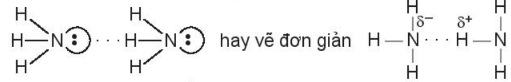 Liên kết hydrogen giữa hai phân tử amonia