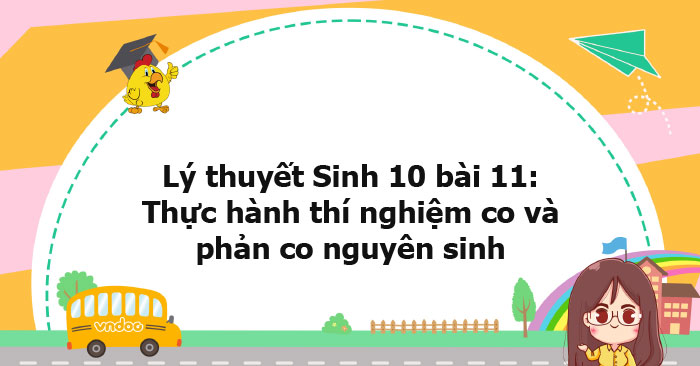 Lý thuyết Sinh học 10 bài 11 KNTT - Thực hành thí nghiệm co và phản co ...