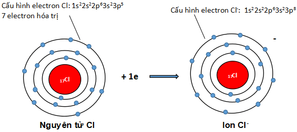 Quá trình trao đổi electron
