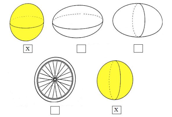 Giải vở bài tập Toán 5