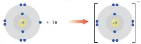 Lý thuyết hóa 10