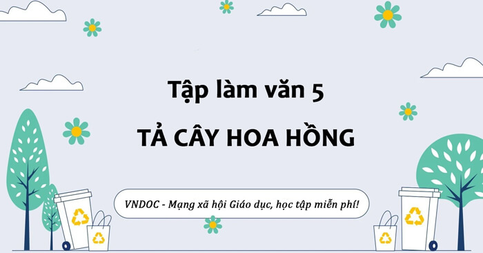 tả cây hoa hồng lớp 5