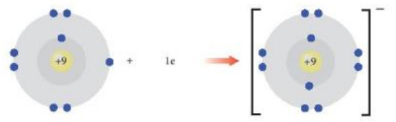 Lý thuyết hóa 10