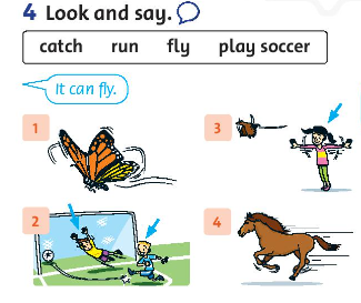 Family and Friends 3 Unit 9 Lesson 2 trang 67
