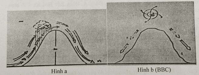 Ôn tập địa lý 10