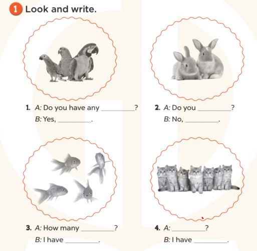 Sách bài tập Tiếng Anh lớp 3 Unit 16 My pets