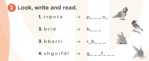 Sách bài tập Tiếng Anh lớp 3 Unit 16 My pets