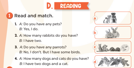 Sách bài tập Tiếng Anh lớp 3 Unit 16 My pets