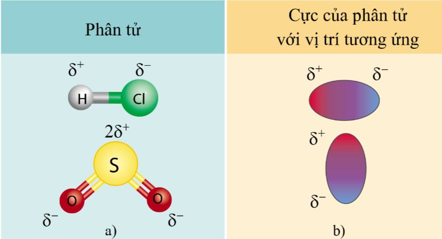  Một số phân tử có cực (a) và biểu diễn các cực của phân tử (b)
