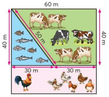 Toán lớp 3 trang 47, 48 Luyện tập | Chân trời sáng tạo