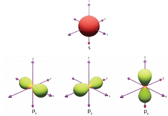 Hình dạng AO s và AO p