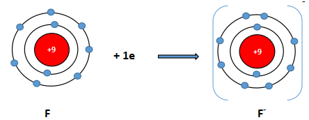 Sự hình thành ion F -
