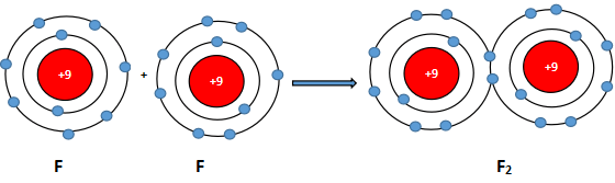 Sự hình thành các phân tử hydrogen và flurione