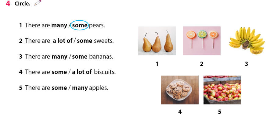 Tiếng Anh 3 Wonderful World Review 5 Part 1