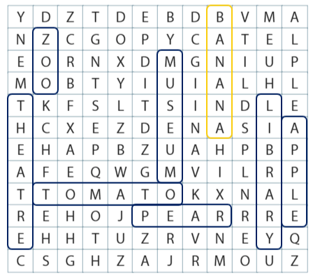 Sách bài tập Tiếng Anh 3 Wonderful World Review 5