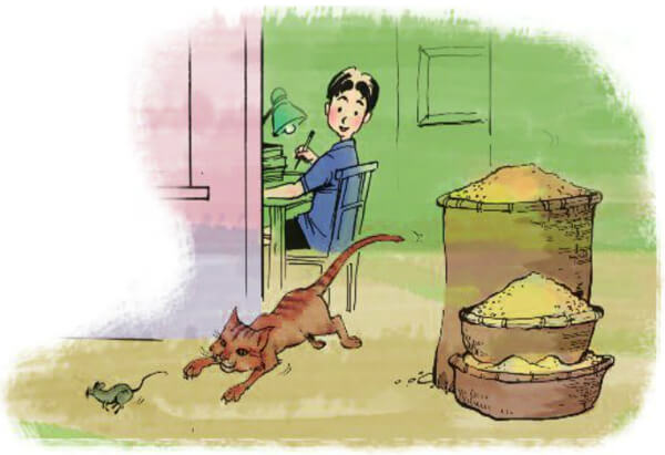 Cấu tạo của bài văn miêu tả con vật