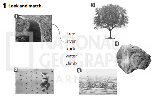 Sách bài tập Tiếng Anh 3 Wonderful World Unit 10 Lesson 1