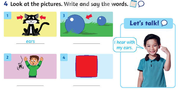 Family and Friends 3 Unit 11 Lesson 4 trang 85