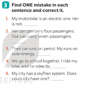 Unit 11 lớp 7 Looking back sách Global Success