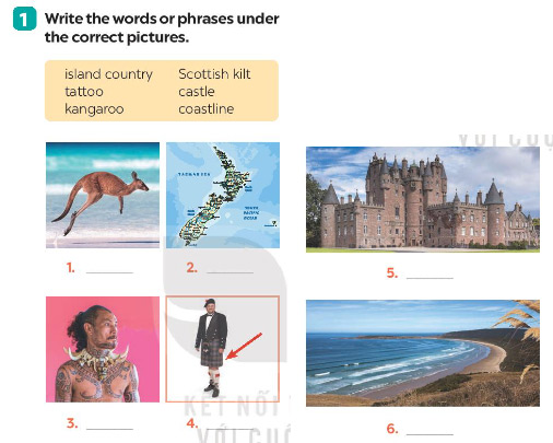 Unit 12 lớp 7 A Closer Look 1 sách Global Success